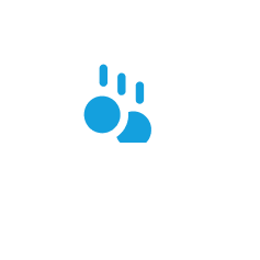 Investment Advice
